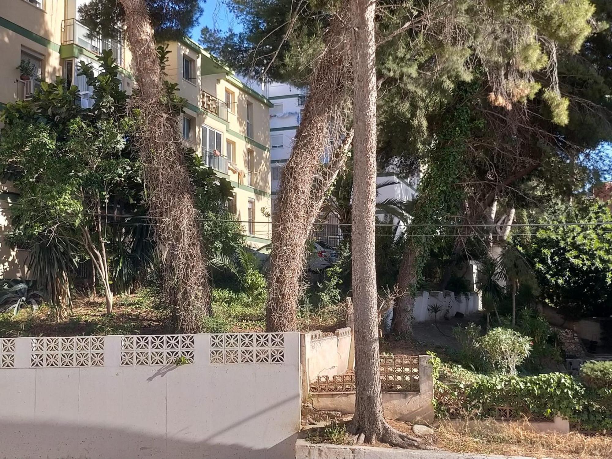 Terraza Del Bajondillo Torremolinos Daire Dış mekan fotoğraf